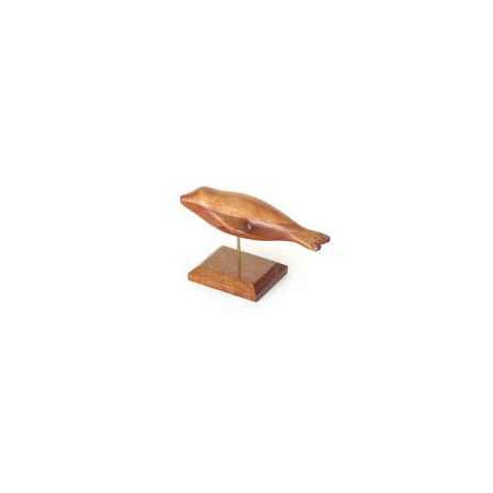 Animaux marins Lasterne - Les miniatures sur socle - Le phoque sous l'eau - 18 cm - Last-APH018S-R