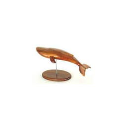 Animaux marins Lasterne - Les miniatures sur socle - Le rorqual - 50 cm - Last-RO050-R