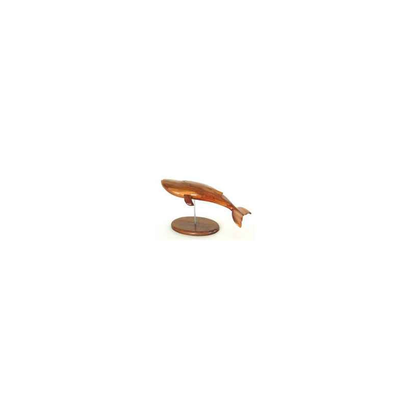 Animaux marins Lasterne - Les miniatures sur socle - Le rorqual - 50 cm - Last-RO050-R