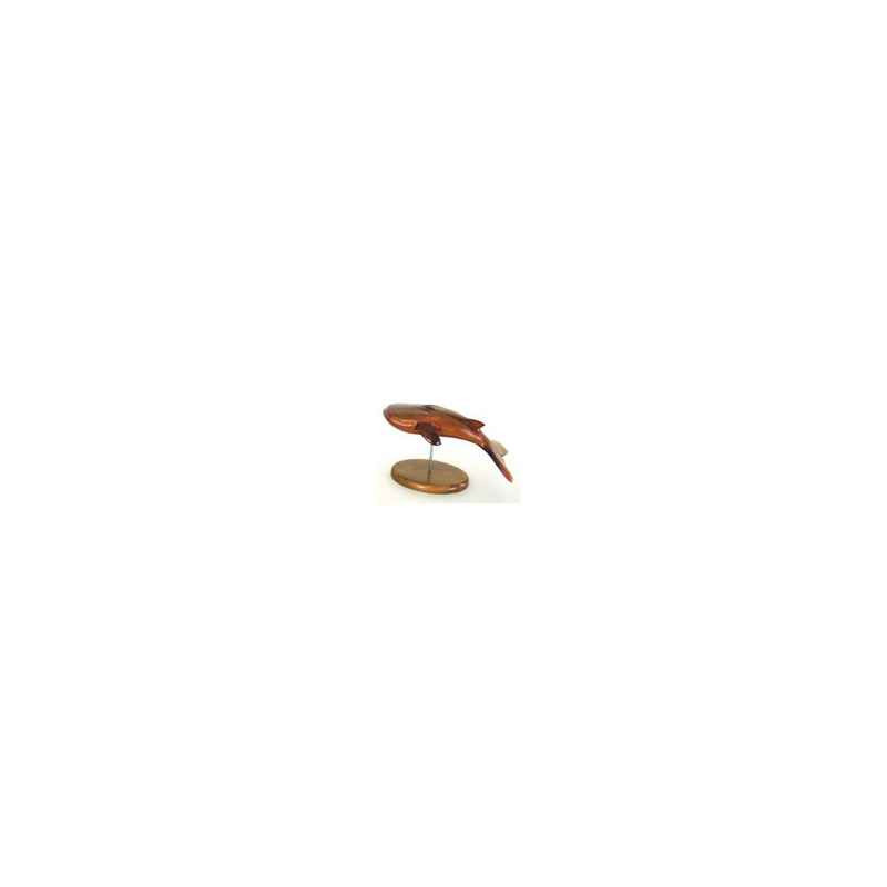 Animaux marins Lasterne - Les miniatures sur socle - Le rorqual - 30 cm Last-RO30-R