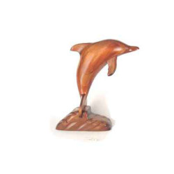 Animaux marins Lasterne-Ornementale-saut du dauphin-ODA060R