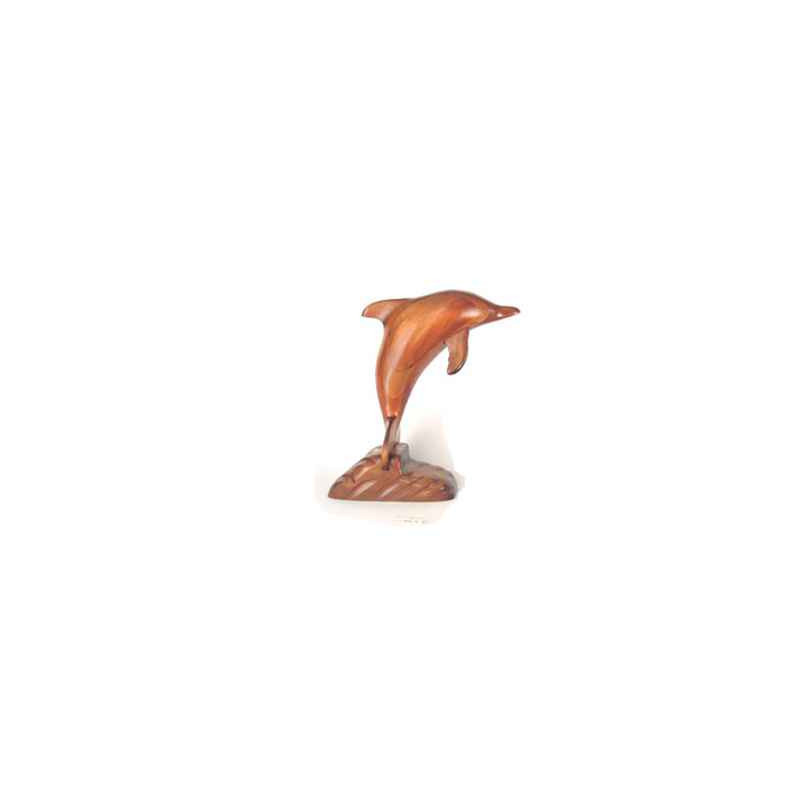 Animaux marins Lasterne-Ornementale-saut du dauphin-ODA060R