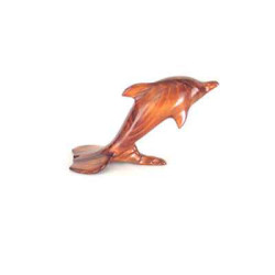 Animaux marins Lasterne-Ornementale-saut du dauphin-ODA028P