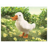 Marionnette Peluche Folkmanis Petit Canard -2828