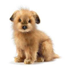 Animaux-Bois-Animaux-Bronzes propose Chien Norfolk terrier peluche animalière -4126