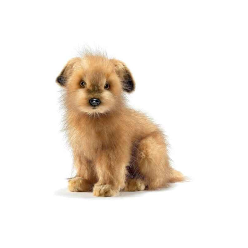 Animaux-Bois-Animaux-Bronzes propose Chien Norfolk terrier peluche animalière -4126