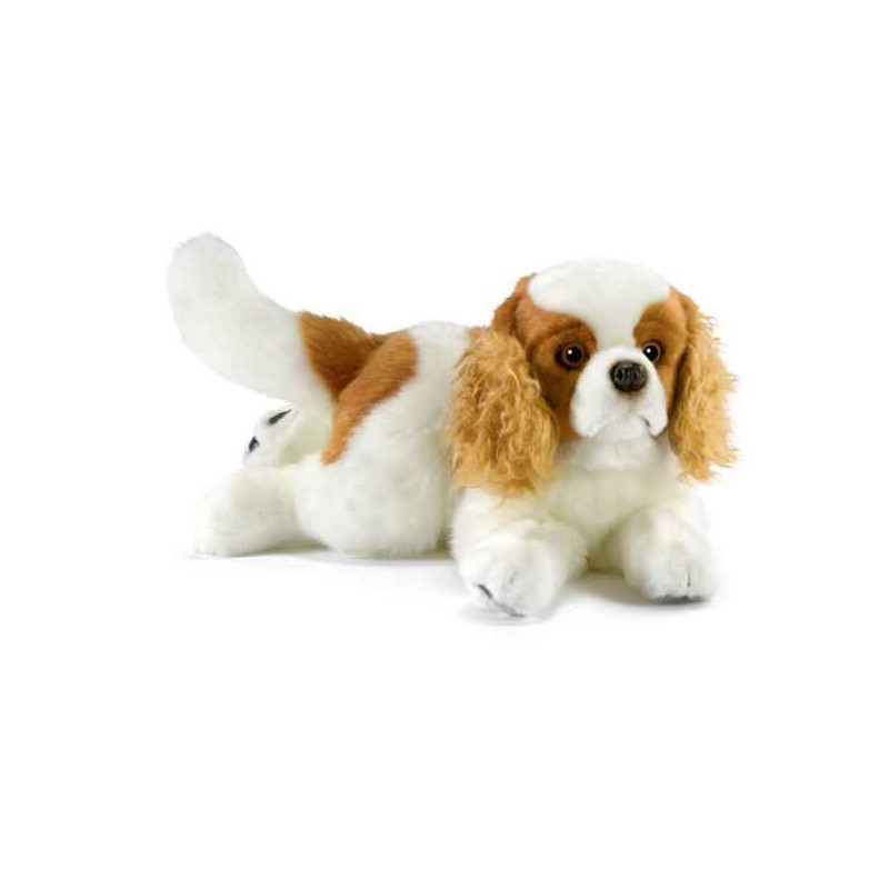 Peluche Cavalier King Charles Anima  1654