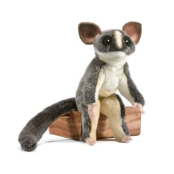 Animaux de la forêt Galago du Sénégal peluche animalière -5504