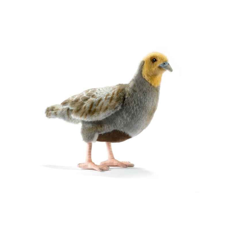Décoration OiseauxPerdrix peluche animalière -5596 Anima