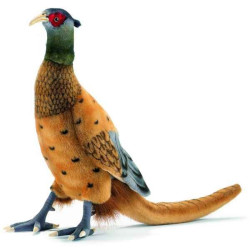 Décoration OiseauxFaisan peluche animalière -3846 Anima