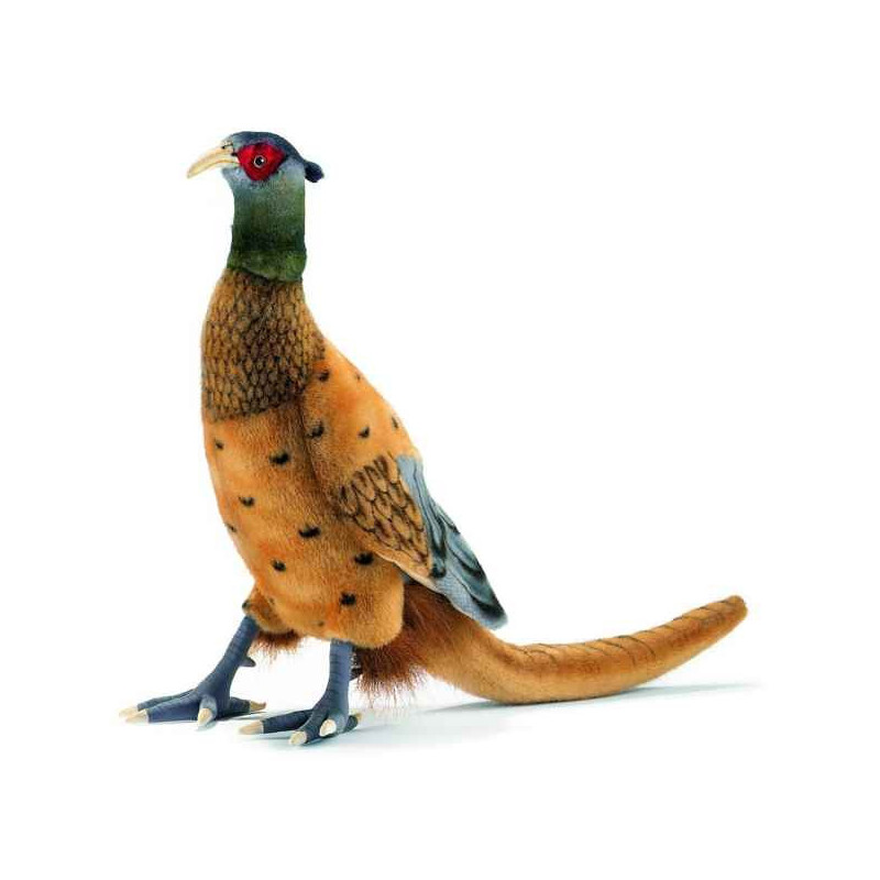 Décoration OiseauxFaisan peluche animalière -3846 Anima