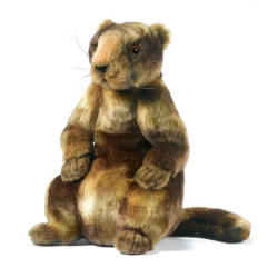 Animaux de la forêt Marmotte peluche animalière -5497