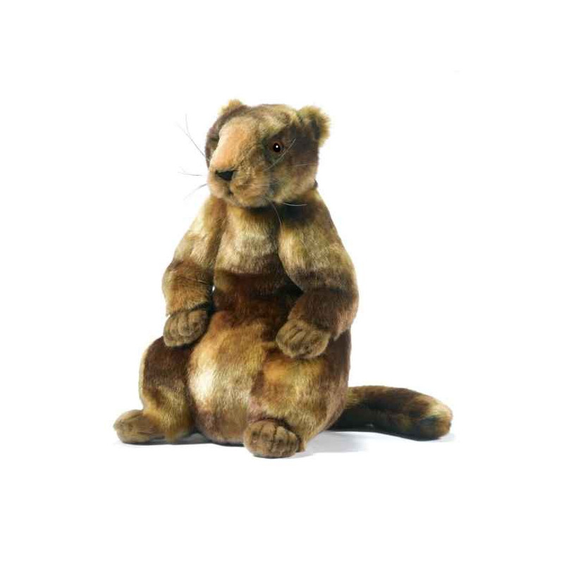 Animaux de la forêt Marmotte peluche animalière -5497