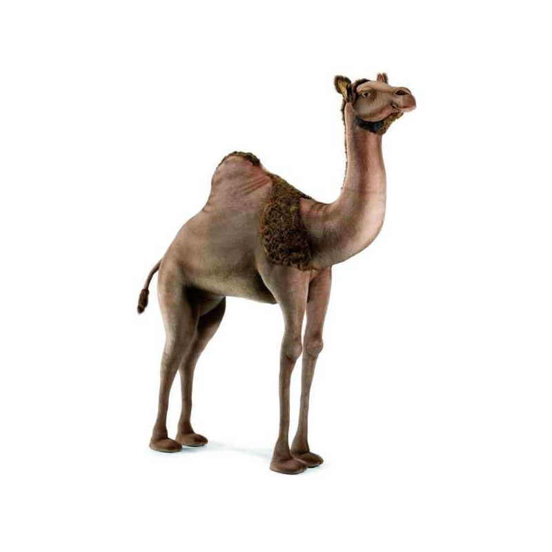 Animaux du désert Dromadaire peluche animalière -4679