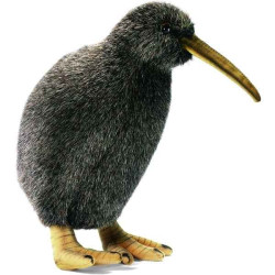Décoration OiseauxKiwi peluche animalière -3084 Anima