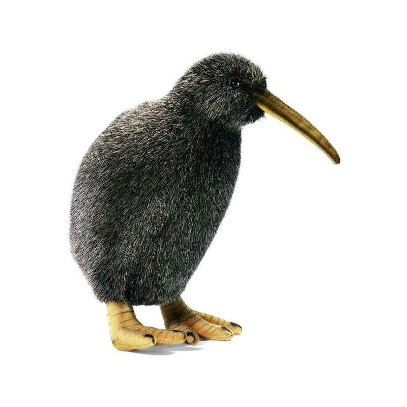 Décoration OiseauxKiwi peluche animalière -3084 Anima