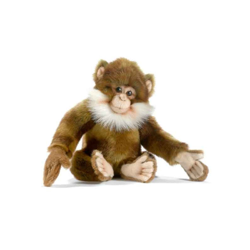 Animaux sauvage Macaque peluche animalière -5502
