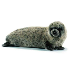Animaux marins Phoque gris 37 cm peluche animalière -4271