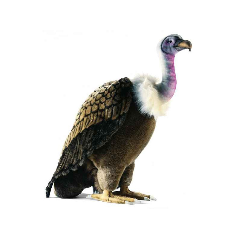 Anima   Peluche vautour 76 cm   3156