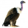 Anima   Peluche vautour 76 cm   3156