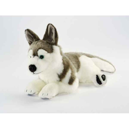 Animaux-Bois-Animaux-Bronzes propose Chien Husky 42 cm peluche animalière -1646