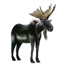 Animaux de la forêt Élan 124 cm peluche animalière -3677