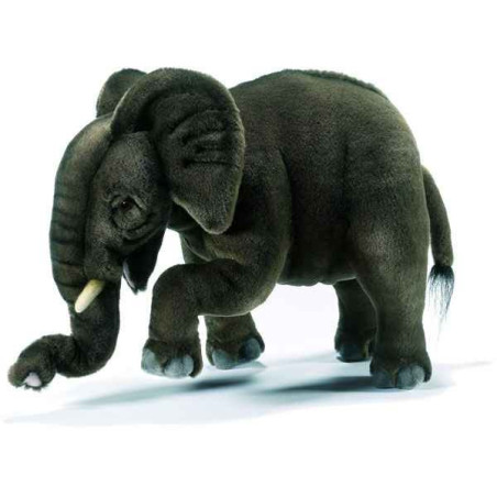 Animaux sauvage Éléphant 30 cm peluche animalière -4955