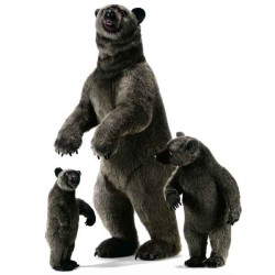Animaux-Bois-Animaux-Bronzes propose Grizzly dressé 190 cm peluche animalière -4042