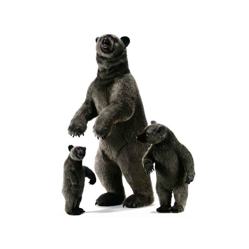 Anima   Peluche grizzly dressé 190 cm   4042