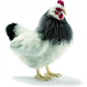 Anima   Peluche poule noire et blanche 40 cm   5034