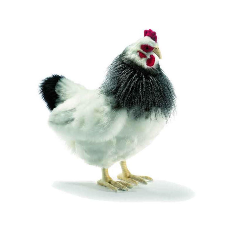 Anima   Peluche poule noire et blanche 40 cm   5034