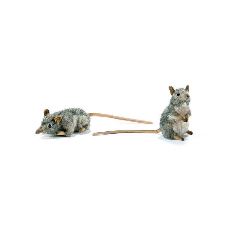 Anima   Peluche rats musqués dressé et couché assorties 16 cm   4110