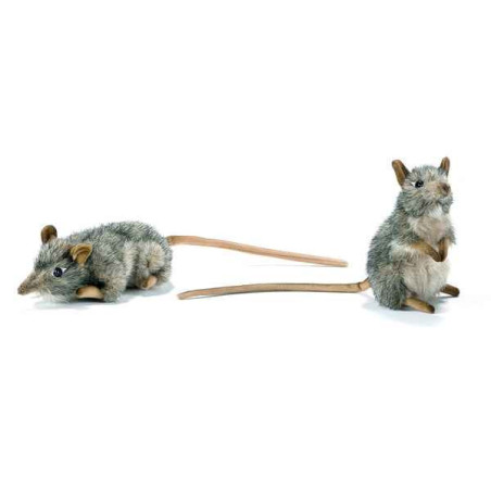 Anima   Peluche rats musqués dressé et couché assorties 16 cm   4110