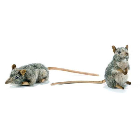 Animaux de la forêt Rats musqués dressé et couché assorties 16 cm peluche animalière -4110