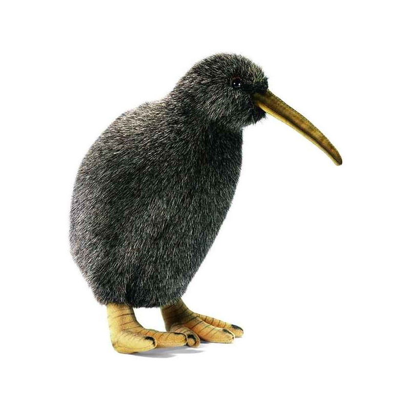 Décoration OiseauxKiwi 28 cm peluche animalière -3083 Anima