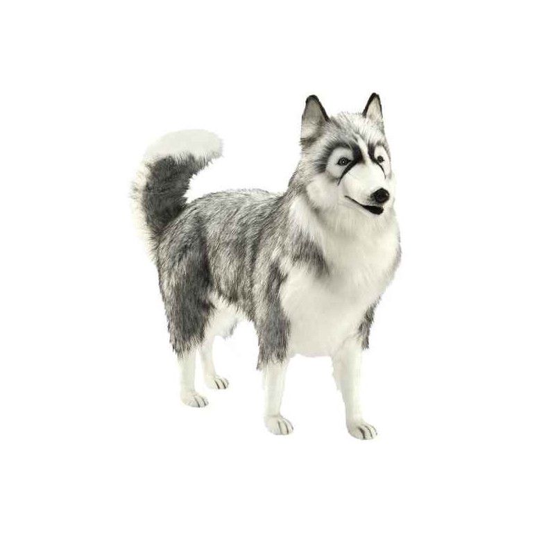 Anima   Peluche husky gris 70 cm   5047