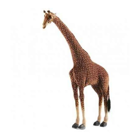 Animaux sauvage Girafe 165 cm peluche animalière -3668