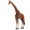 Animaux sauvage Girafe 165 cm peluche animalière -3668