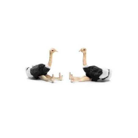 Décoration OiseauxAutruche souple (x2) 17cmh peluche animalière -3627 Anima