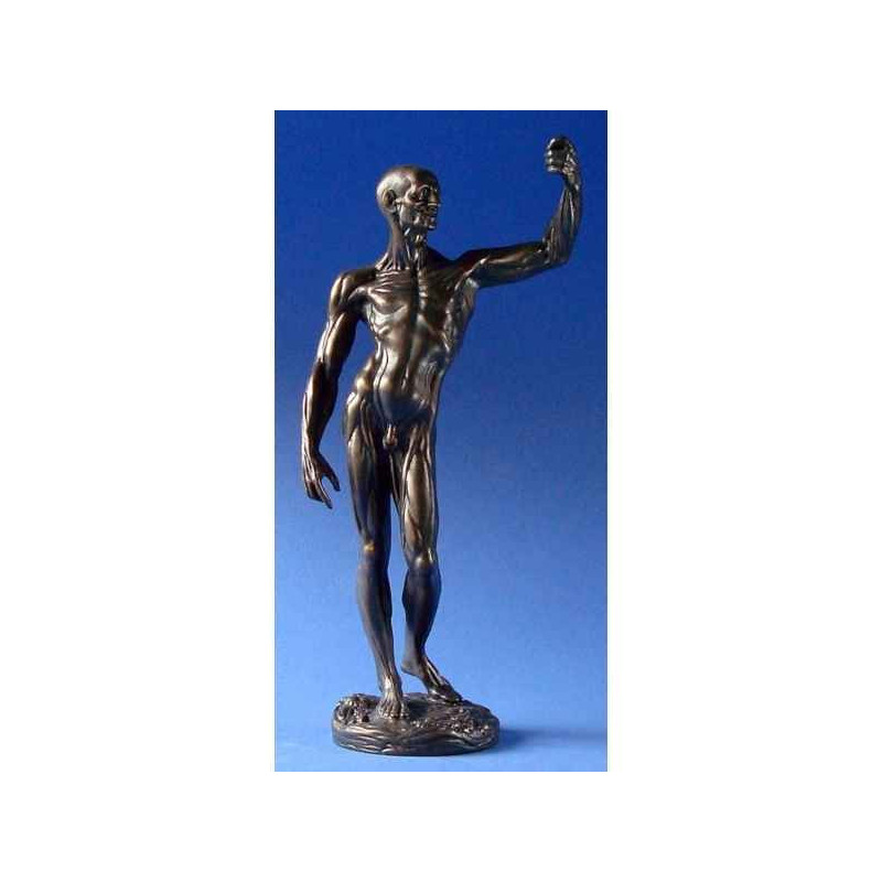 Figurine art mouseion houdon anatomical study  hou01 3dMouseion