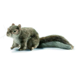 Animaux de la forêt Écureuil gris 18 cm peluche animalière -4840