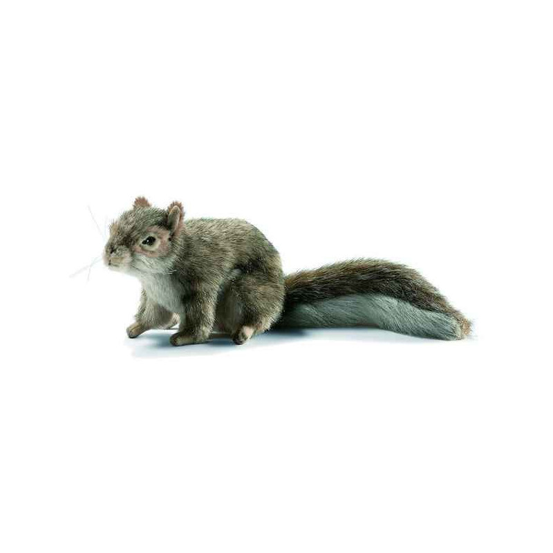 Animaux de la forêt Écureuil gris 18 cm peluche animalière -4840