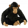 Anima   Peluche chimpanzé 60 cm   2067