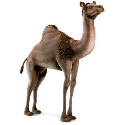Animaux du désert Dromadaire 170 cm peluche animalière -3200