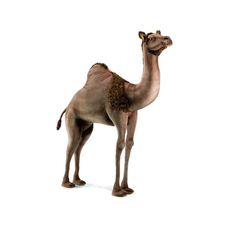 Animaux du désert Dromadaire 170 cm peluche animalière -3200