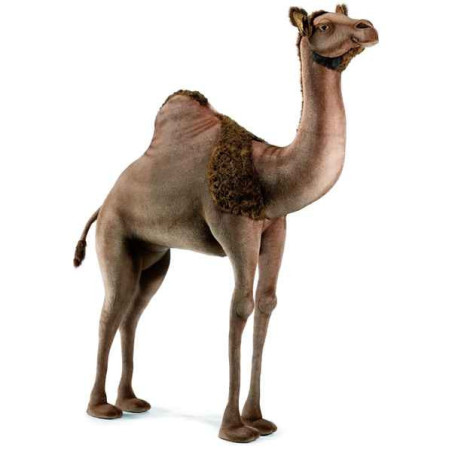 Animaux du désert Dromadaire 170 cm peluche animalière -3200