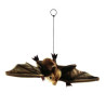 Animaux de la forêt Chauve souris 35 cm peluche animalière -3064