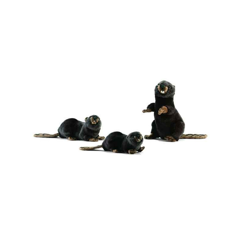 Animaux de la forêt Castor dressé 30 cm peluche animalière -3355