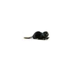 Animaux de la forêt Castor couché 22 cm peluche animalière -3838