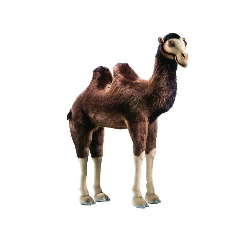 Animaux du désert Chameau 170 cm peluche animalière -2064